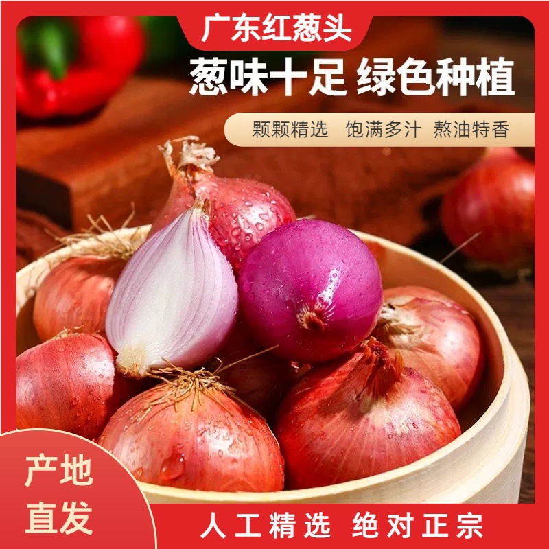 Scallion Sichuan Dried Scallion All Seasons Scallion Scalli