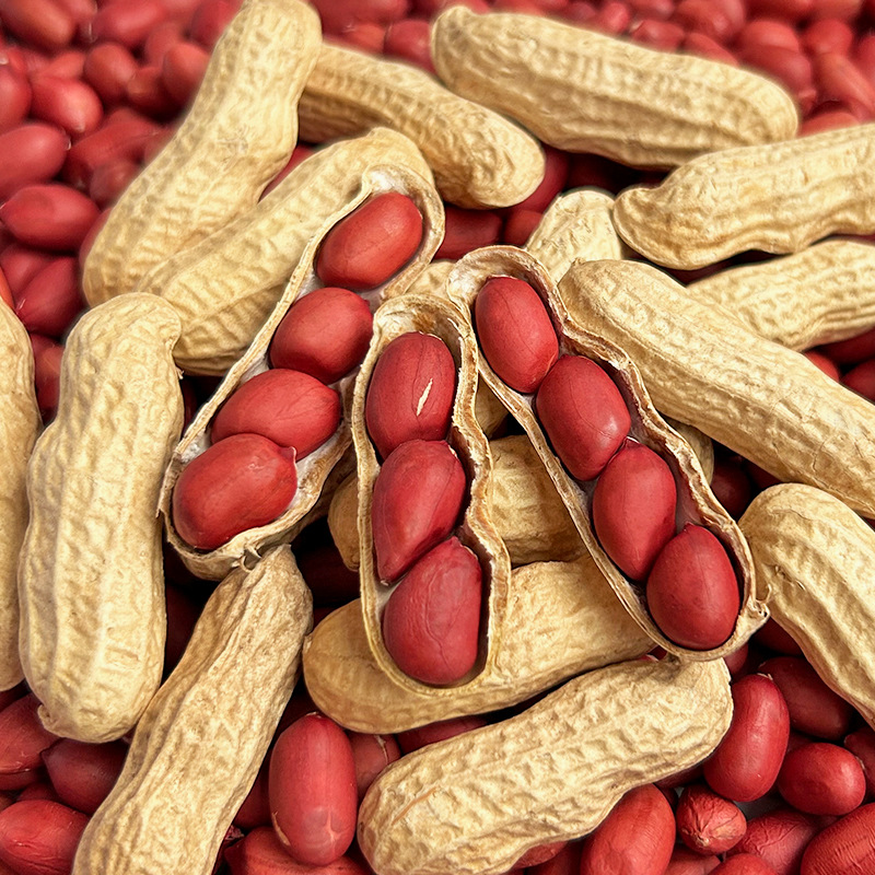 New New Year's Red skinned Peanuts, Four Red skinned Peanut