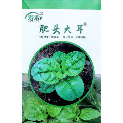 Wooden ear vegetables, small green vegetables, balcony pott