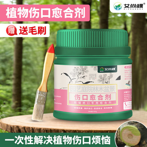 NewAishanggepruningwounda