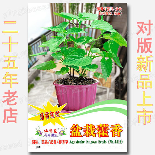 About 500 pieces of edible patchouli can be used to clear t