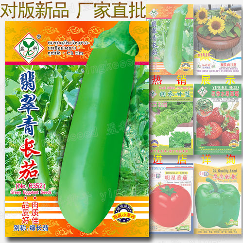 Jade green long eggplant about 100 pieces, good quality and