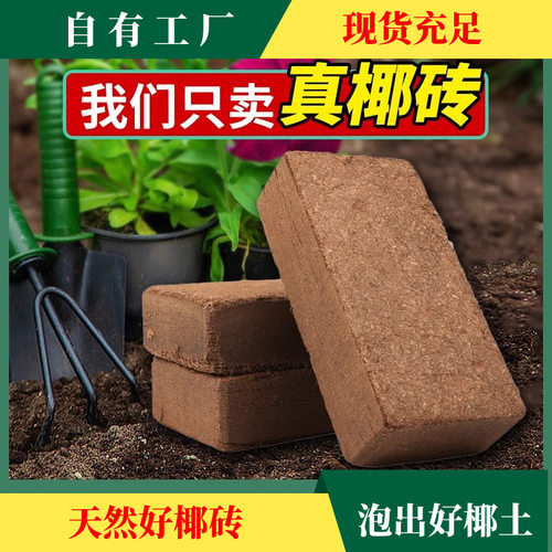 NewCoconutBrickCampUniver