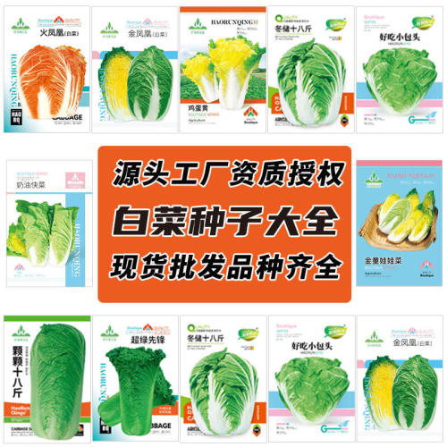 Da Kuai Cai Wa Cai Winter Storage Cabbage Egg Yellow Fire P