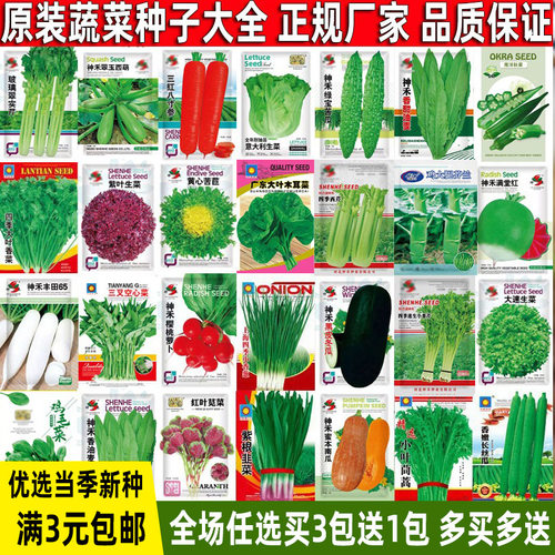 蔬菜种子盆生菜小葱青菜菜籽种菠
