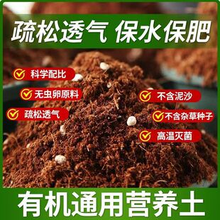 Camp flower universal special vegetable soil planting green
