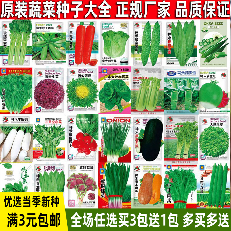 Vegetable seeds sown in all seasons, potted plants, balconi