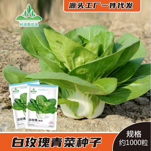 Short footed yellow pot vegetable garden, small green veget