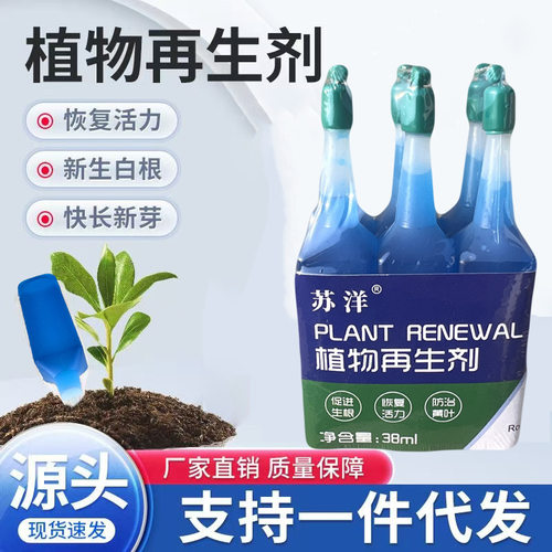 Plantagentrejuvenatorconce
