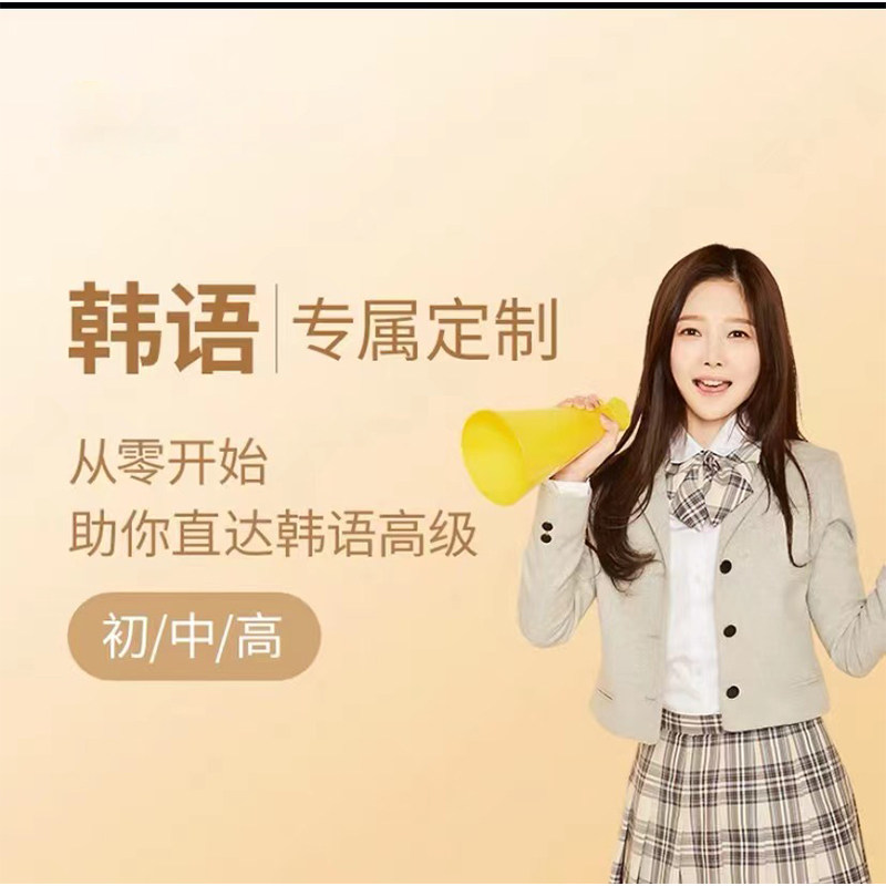韩语课程零基础至初级中级高级定制一对一1V1定制课DZ私人定制