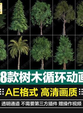 高清4K绿色植物树木椰树长青树循环动画AE工程合成特效果视频素材