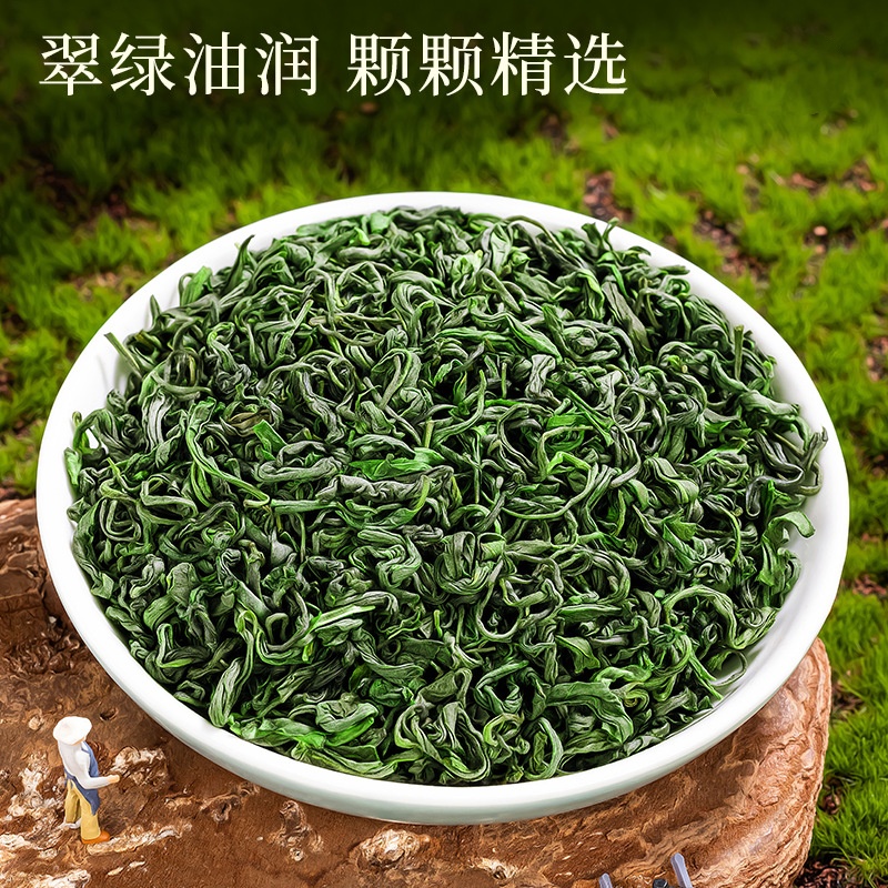 高山云雾绿茶新茶一级高山绿茶茶叶25年新茶散装浓香型绿茶