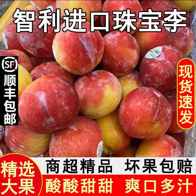 顺丰速递智利进口珠宝李糖果李恐龙蛋李子新鲜酸甜当季水果