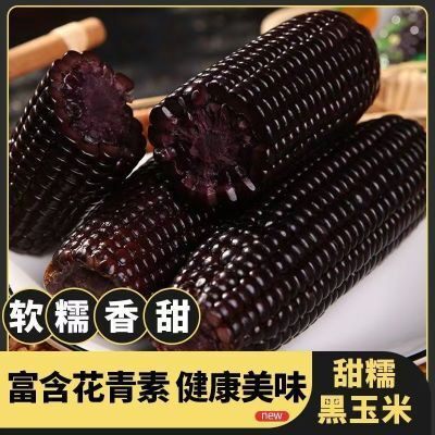 【试吃2根】黑糯玉米超五斤头茬新采香甜软糯黏真空锁鲜低脂山西