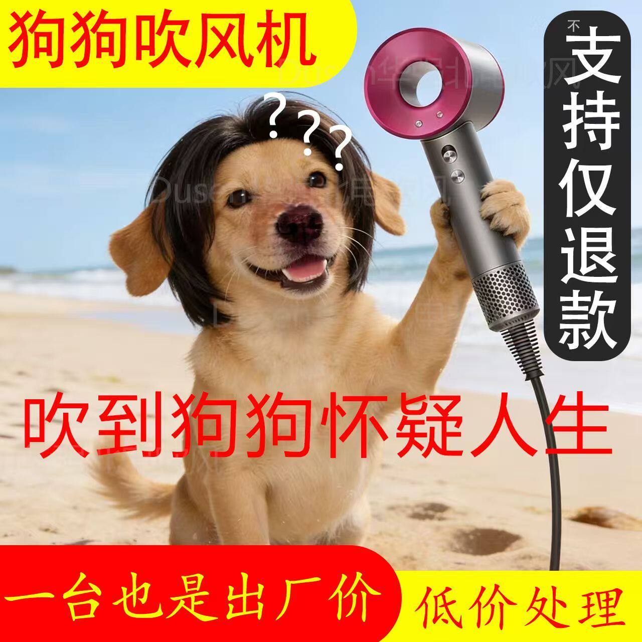宠物吹风机大功率吹风机泰迪金毛吹风机大狗吹风机中大型犬电吹风