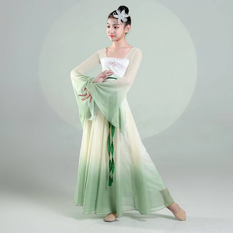 儿童古典舞蹈女仙气飘逸身韵中国舞练功服长衫古风渐变纱衣舞蹈裙