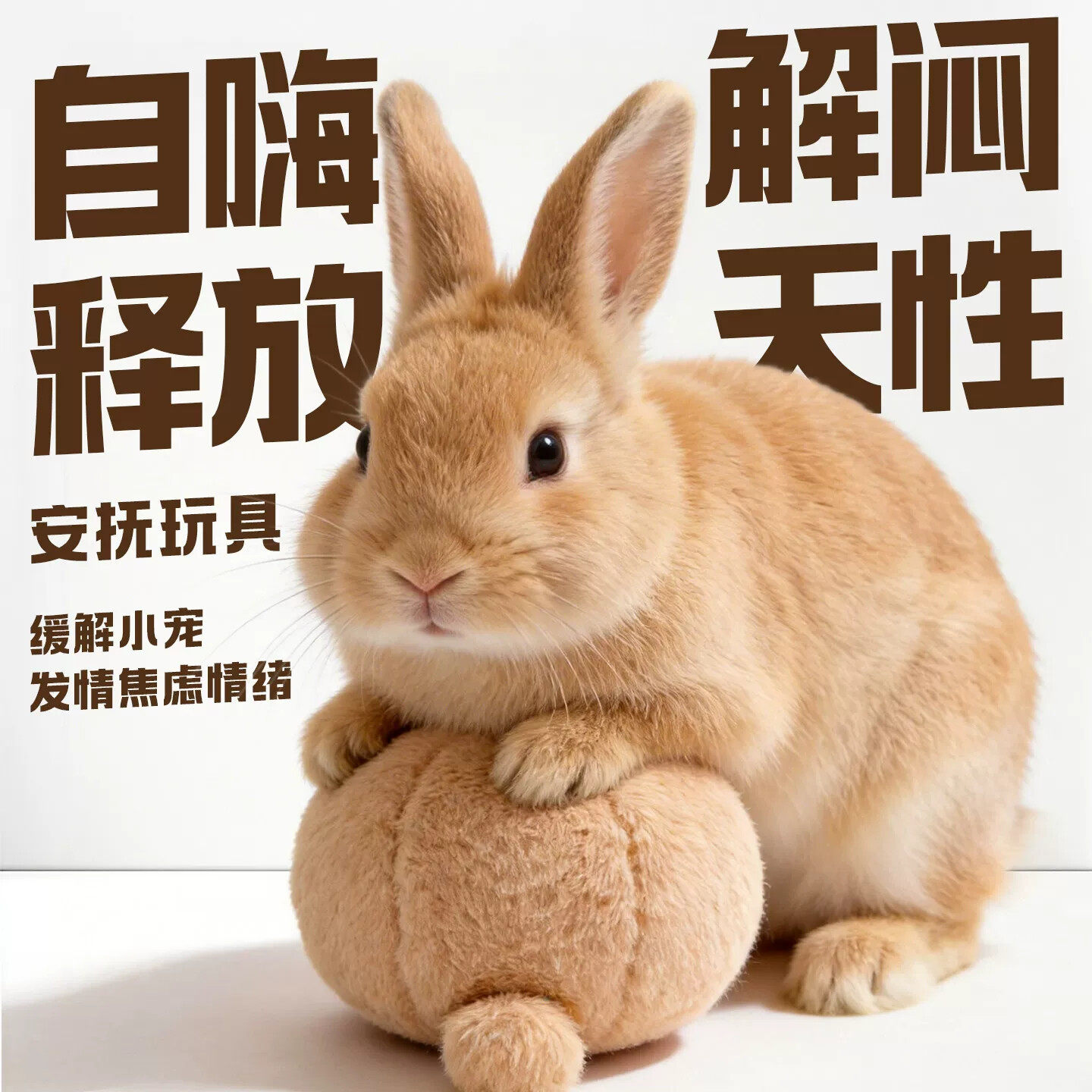 兔子玩具解闷器兔子发情球发泄自嗨侏儒兔荷兰猪豚鼠磨爪神器用品