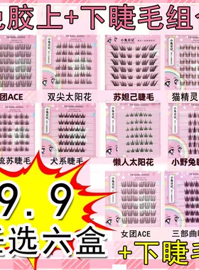 【免胶6盒任选】假睫毛便携装6排自然浓密新手卷翘睫毛轻盈