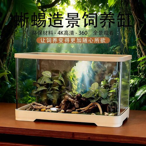 雨林守宫饲养箱高清饲养爬虫陆龟生态角蛙甲虫蜘蛛宠物乌龟守宫