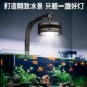鱼缸筒灯原生溪流缸专用照明专业增艳观赏LED灯智能高亮爆藻水草