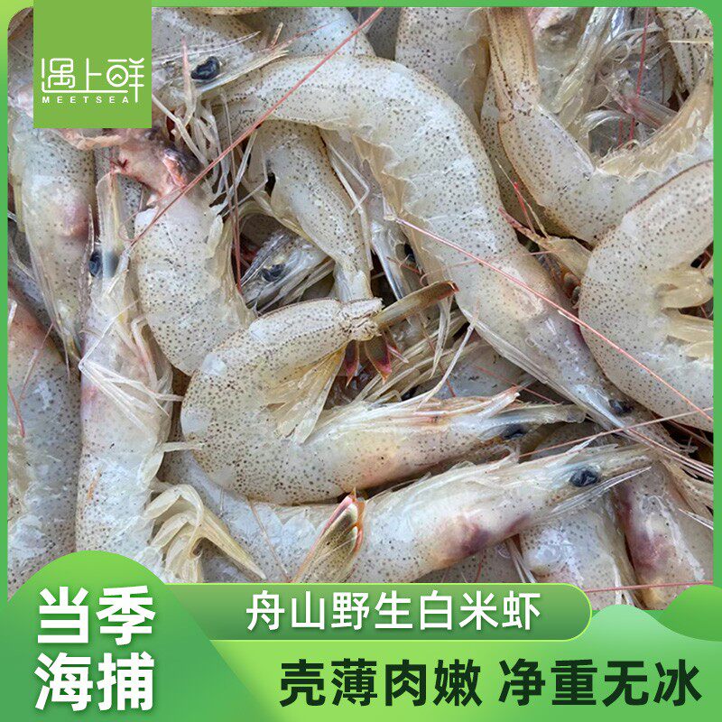 遇上鲜 舟山野生小白虾 白米虾 羊毛虾 深海捕捞 新鲜速冻 2斤装