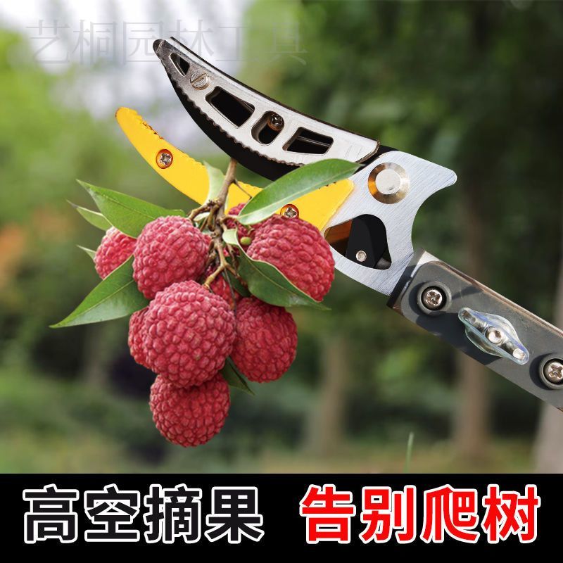 摘果神器修枝剪伸缩高空摘果剪刀树枝采摘器荔枝莲蓬龙眼高枝剪刀