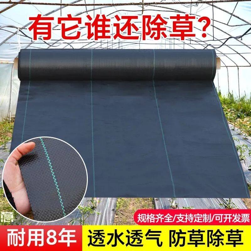 全新防草布新型加厚耐用果园果树透气保湿农用除草地布地膜地钉