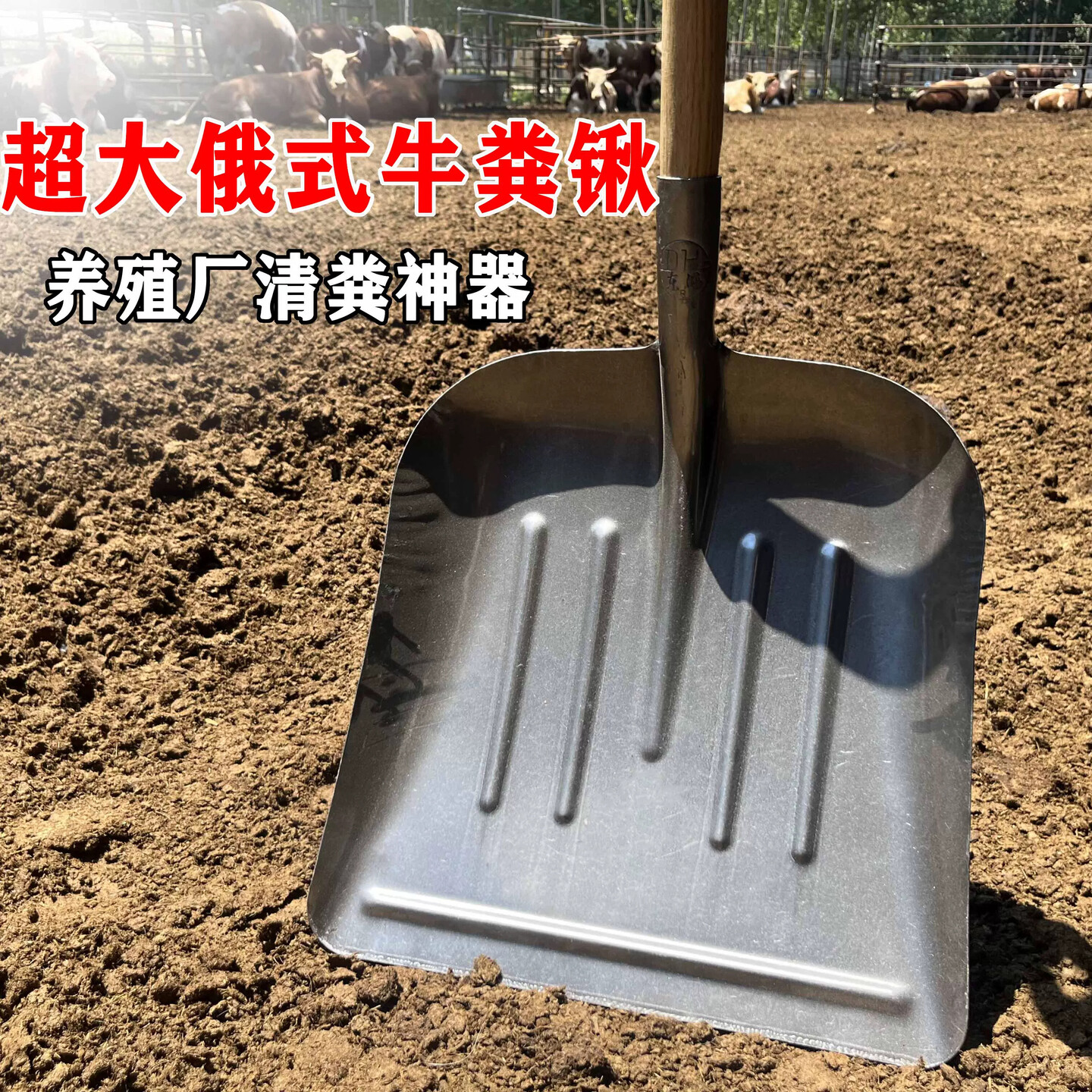 德国进口铁锹农用锰钢特大号方锹鸡牛羊猪养殖场清粪铲大