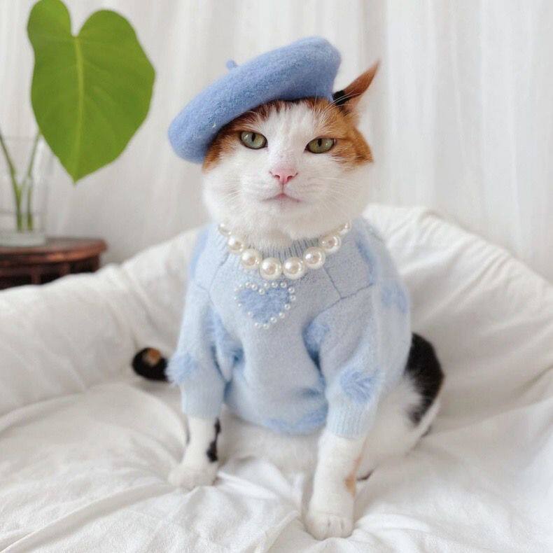 珍珠项圈宠物猫咪狗狗项链贵妇公主风头饰品大小型犬