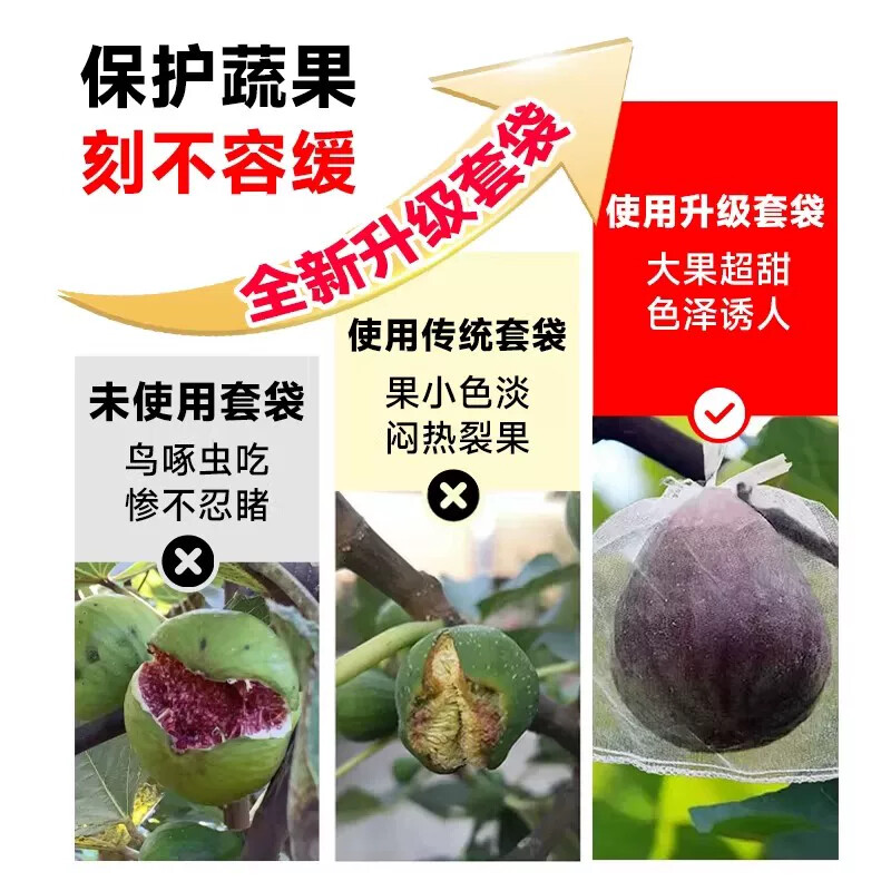 水果套袋果树防鸟防虫纱网袋葡萄无花果番石榴枇杷桃草莓保护袋子