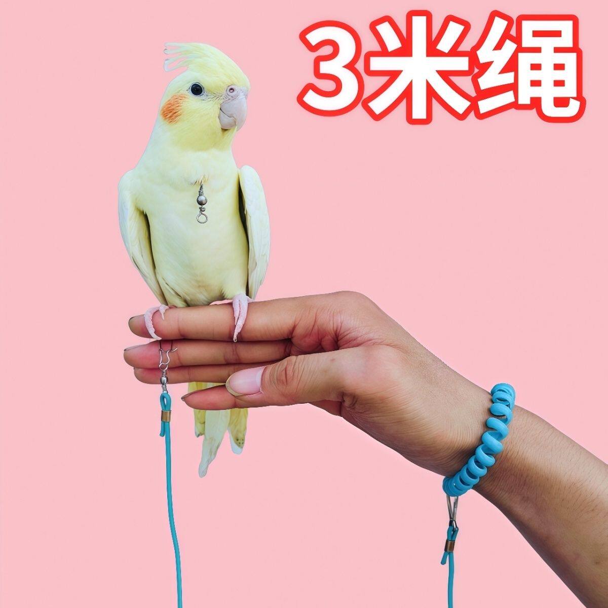 鹦鹉八哥超轻放飞虎皮牵引牡丹遛鸟玄凤外出脚链太阳飞行牵引绳