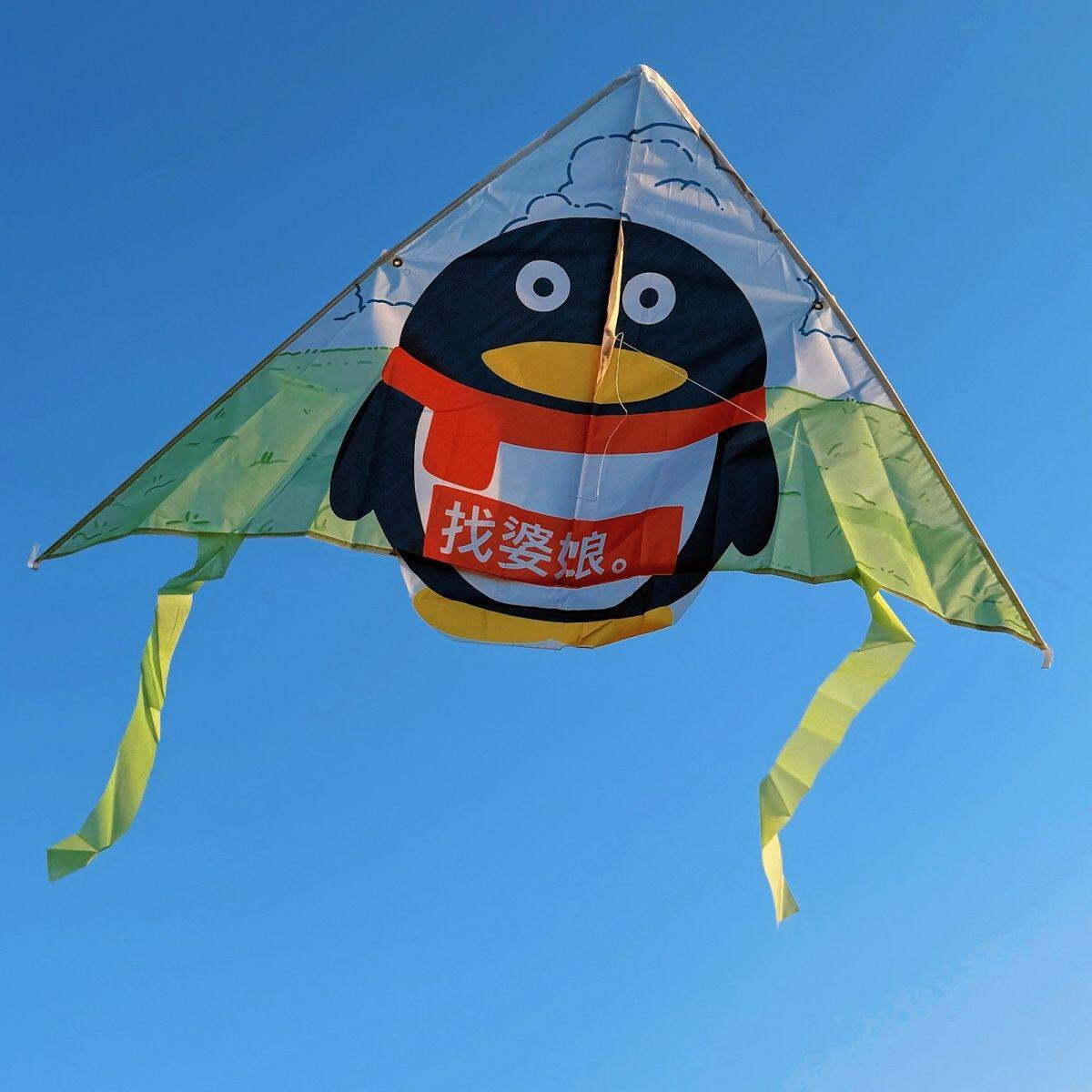 稀奇古怪风筝找婆娘企鹅表情包抽象风筝微风易飞带线卡通风筝儿童