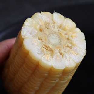 望月家优选东北黑土336品种甜糯白玉米260克 8根一整箱