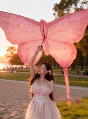 蓝色蝴蝶风筝高颜值爆款拍照儿童成人专用秋天易飞潍坊小红书