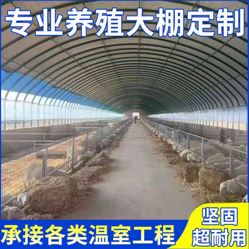 养殖大棚骨架钢管牛棚羊圈猪舍鹅兔养鸡场椭圆管温室蔬菜大棚全套