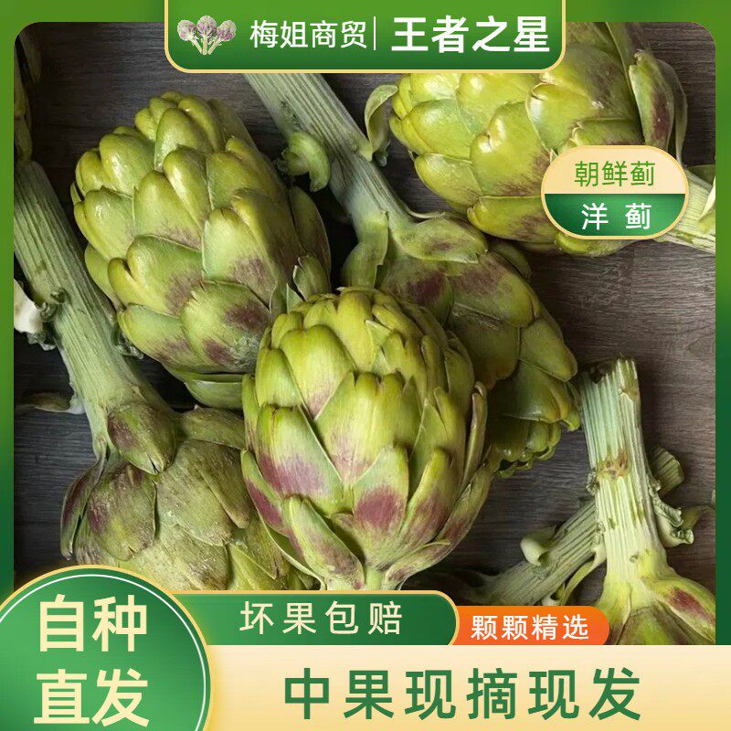 王者之星中果云南特产种植新鲜洋蓟朝鲜蓟食材营养蔬菜现摘现