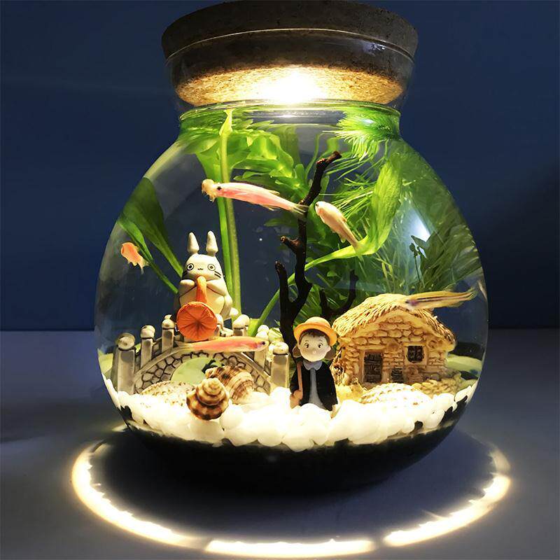 初中生物生态瓶材料微景观水族箱造景斗鱼缸创意缸办公桌面书桌客