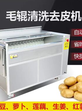 土豆果蔬清洗去皮机商用全自动红薯芋头生蚝生姜电动毛刷脱皮机器