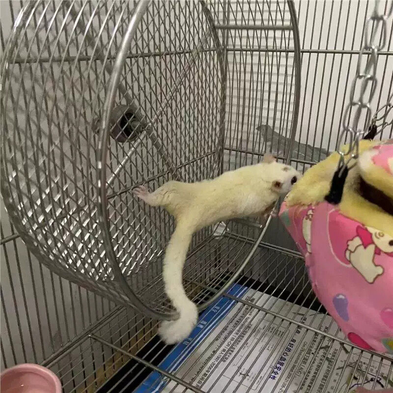 304金属不锈钢跑轮蜜袋鼯跑轮龙猫松鼠仓鼠跑轮静音悬挂跑轮