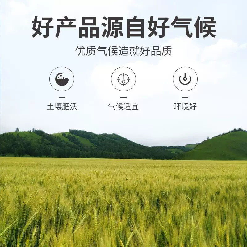 方家铺子大麦茶500 克精选大颗粒五谷茶原麦炒制麦香花草茶