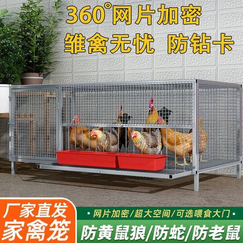 加厚鸡笼室内加宽铁丝网加密防黄鼠狼老鼠室外兔笼鸭鹅鸽子养殖笼