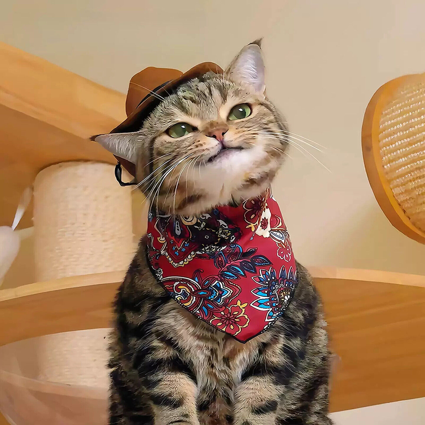 猫咪围脖口水巾宠物西部牛仔帽子狗狗三角巾配饰小猫围兜围巾装饰