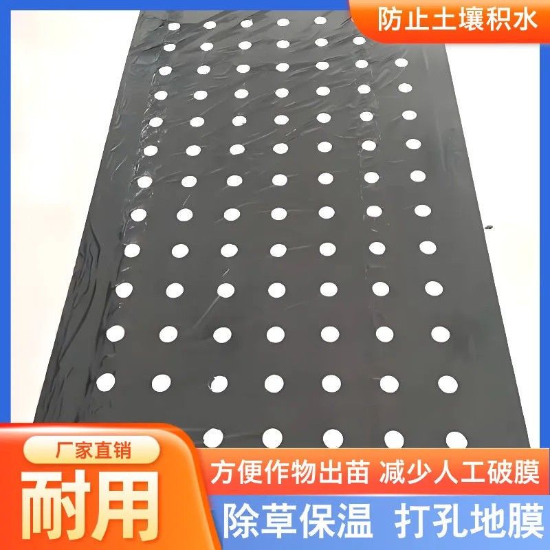 农用打孔黑色地膜加厚羊肚菌专用除草钻孔黑地膜玉米种植有孔地膜