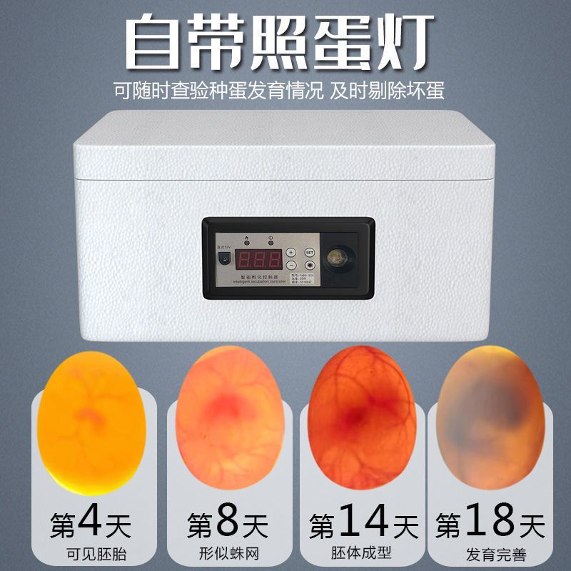 孵化器小型家用孵化机水床孵蛋器芦丁鸡鸭鹅鸽子鹌鹑迷你孵化箱