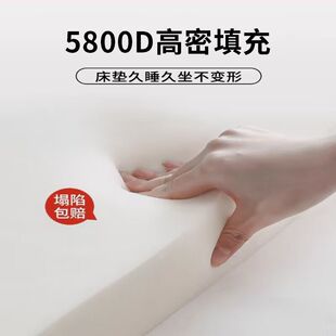 南极人加厚床垫软垫卧室榻榻米记忆棉垫子乳胶海绵床褥垫被褥铺底