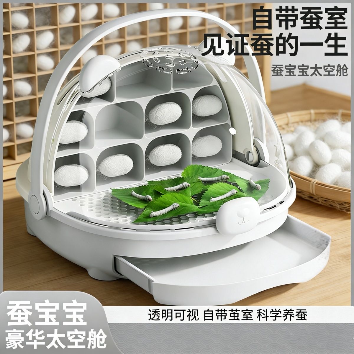 养蚕宝宝的太空舱蚕宝宝养育舱学生养蚕蚕卵幼送新鲜桑叶太空舱养