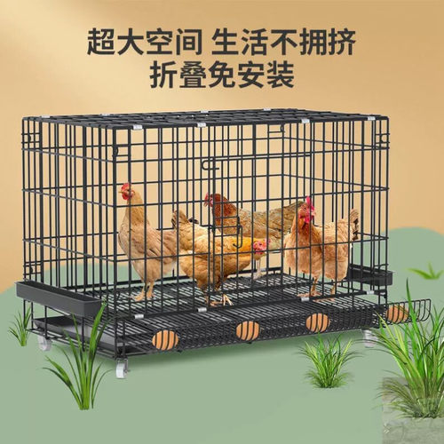 家用多层自动清粪养鸡笼 加粗铁丝底部加固鸡鸭笼