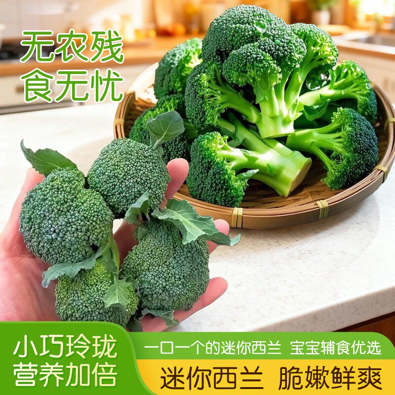 【小朵西兰花】耳花花菜新鲜时令蔬菜包邮当季新鲜蔬菜