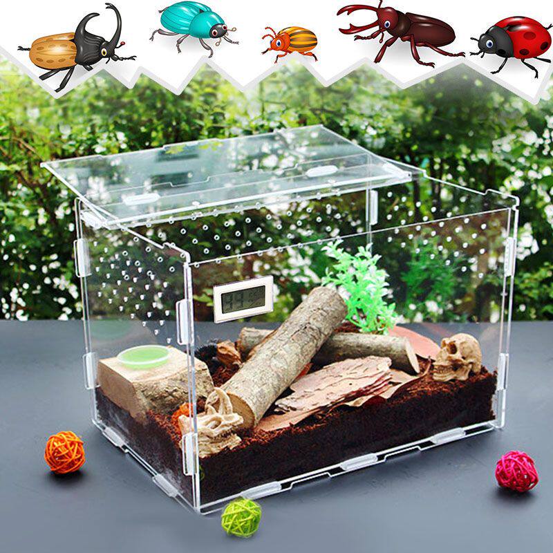 爬宠饲养盒亚克力透明塑料大号养蚕甲虫蜘蛛独角仙守宫爬宠饲养箱