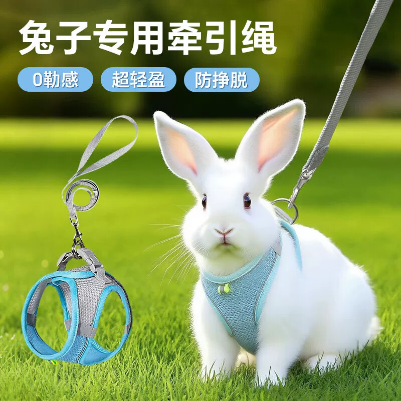 兔子牵引绳遛兔子专用宠物幼小侏儒兔防挣脱绳子背带神器外出用品